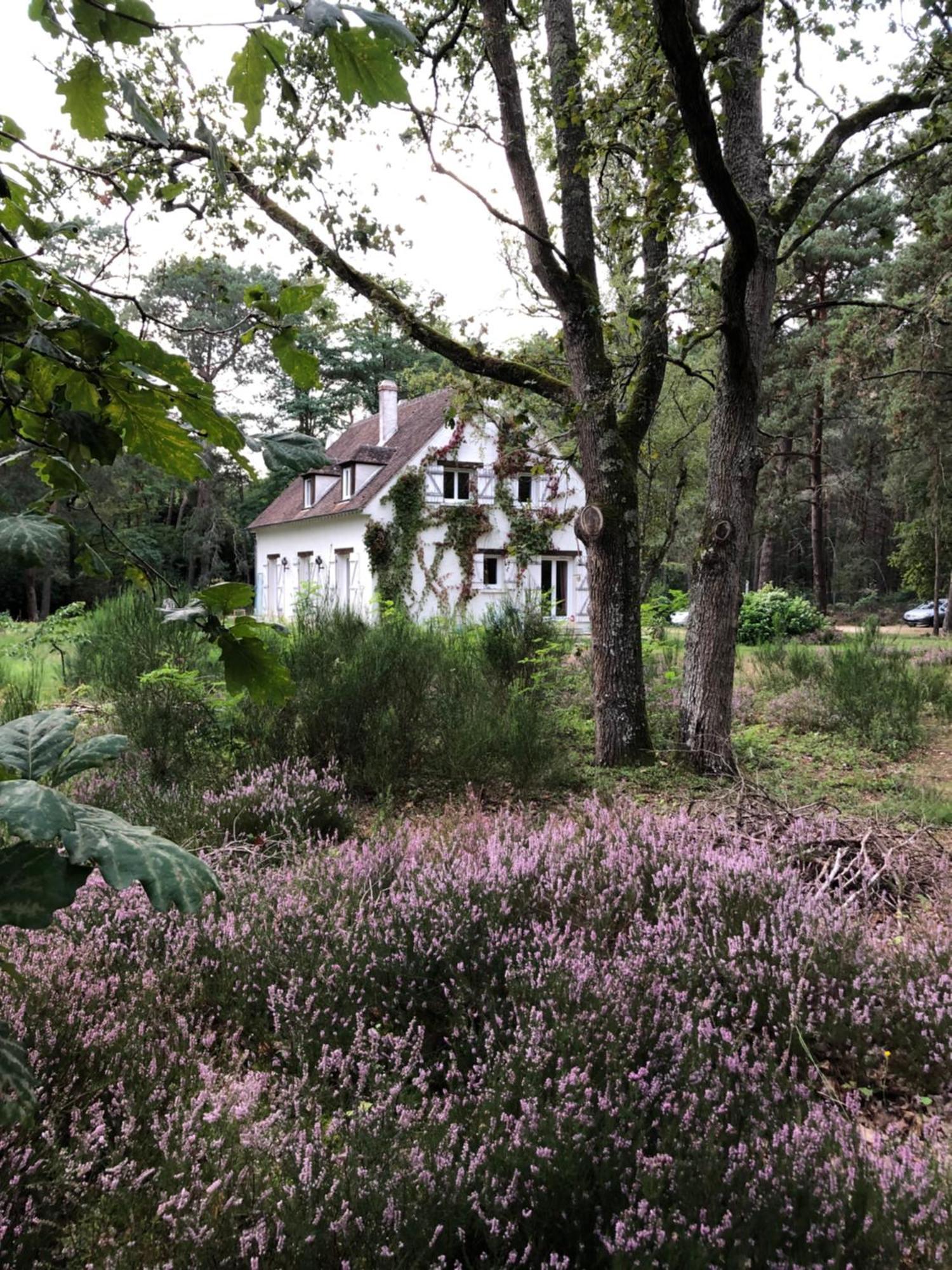 Chambres Au Coeur Du Massif Des Trois Pignons Noisy-sur-Ecole Exteriér fotografie